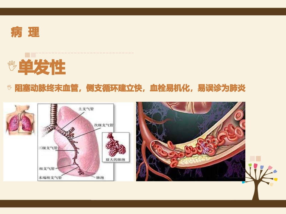 肺栓塞病人的护理5_第11页
