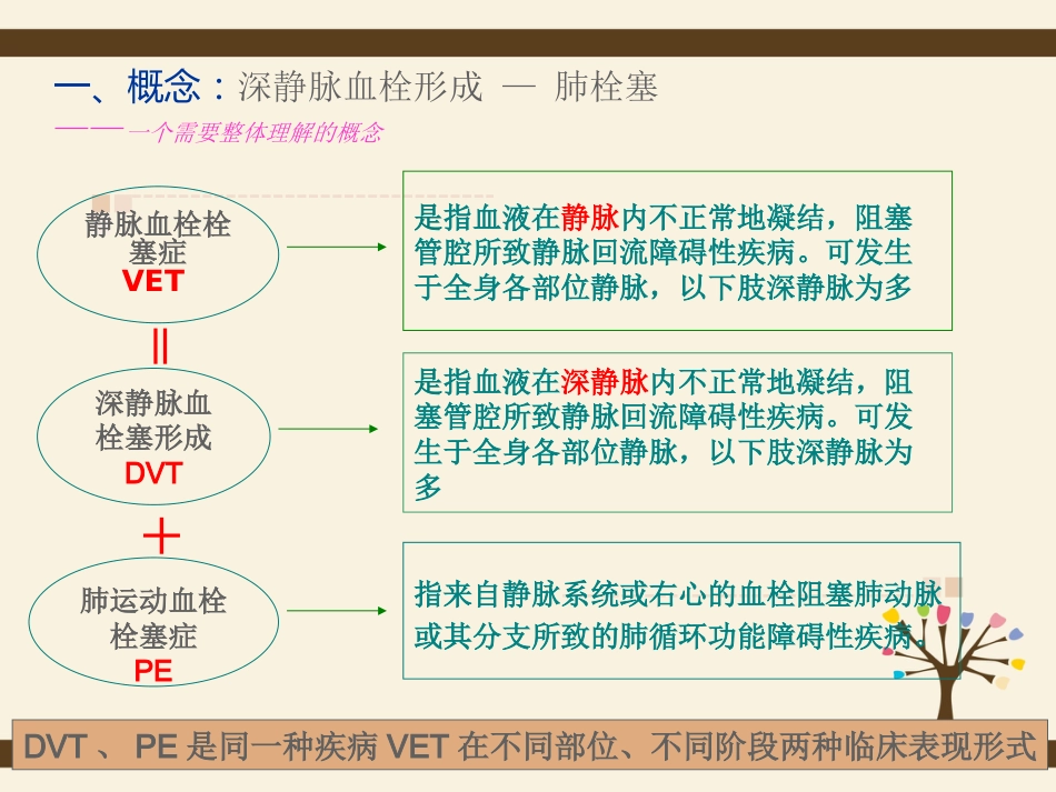 肺栓塞病人的护理5_第8页