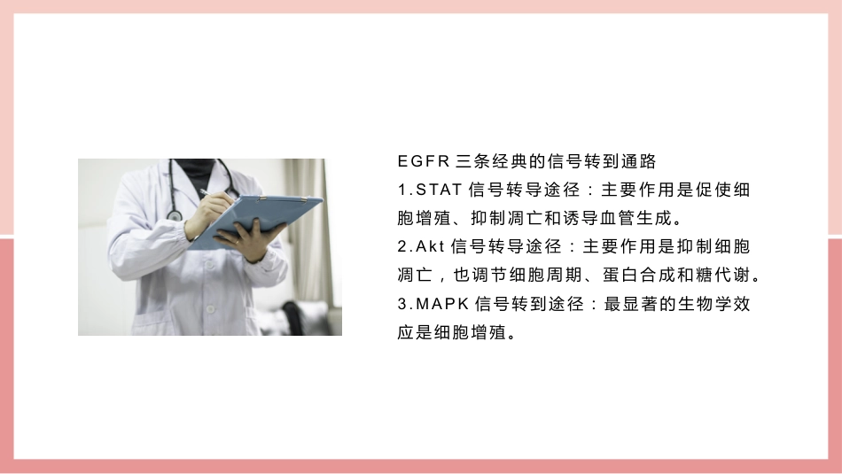 肺癌的靶向治疗_第12页