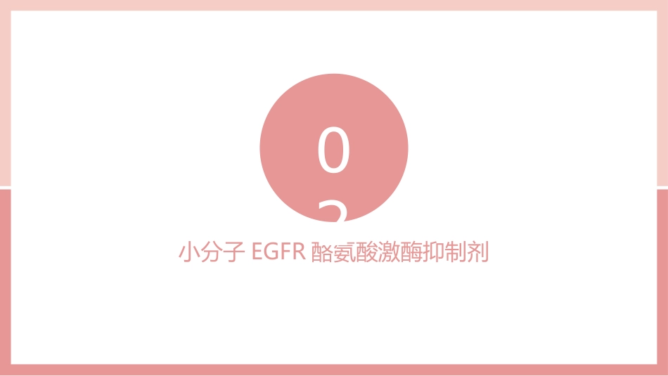 肺癌的靶向治疗_第14页