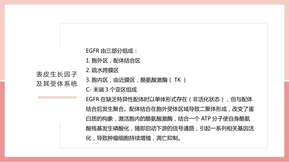 肺癌的靶向治疗_第7页