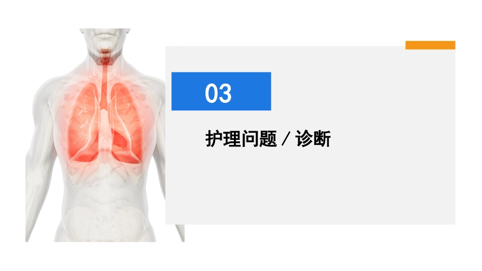 慢性阻塞性肺疾病急性加重期护理查房_第13页