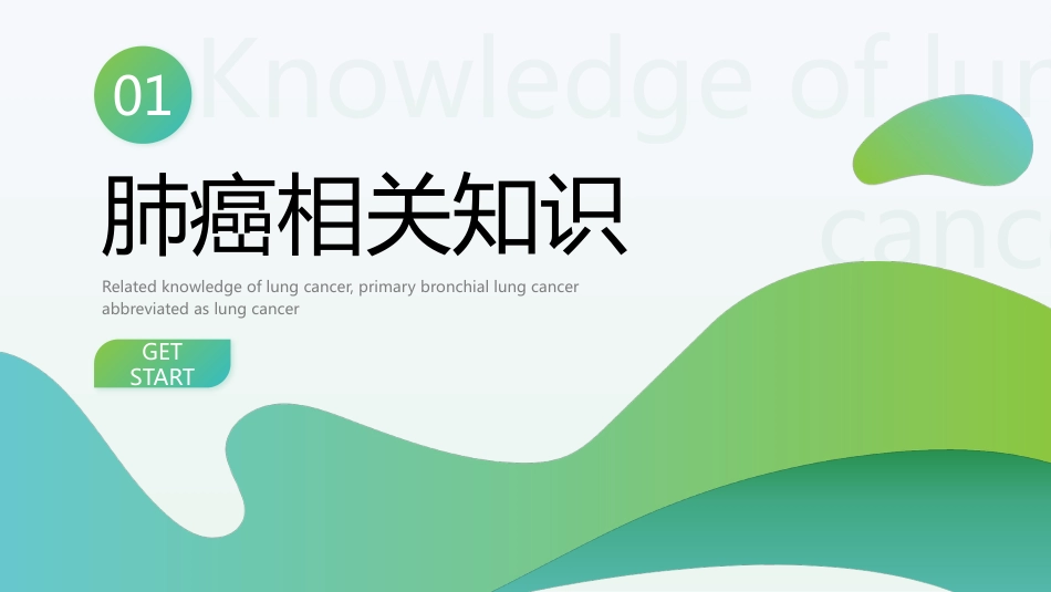 肺癌化疗病人的个案护理_第3页