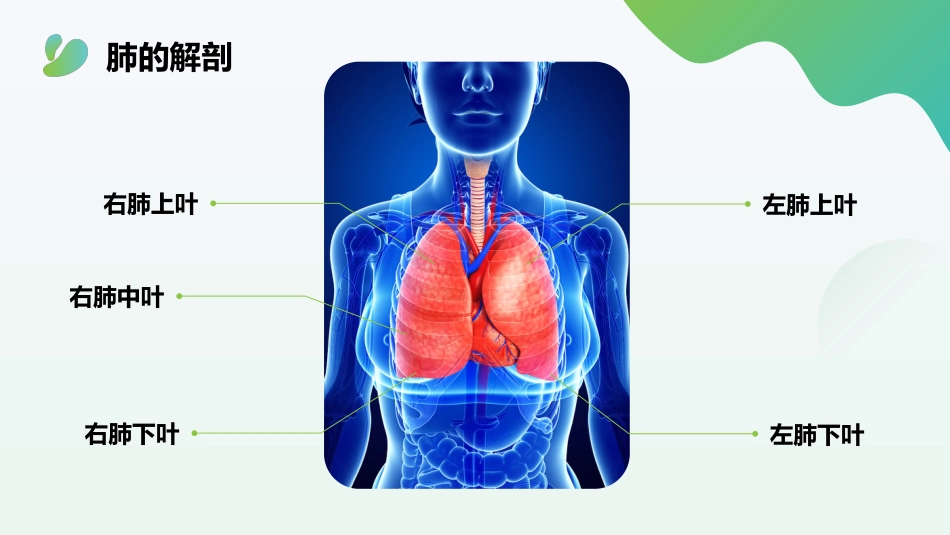 肺癌化疗病人的个案护理_第4页