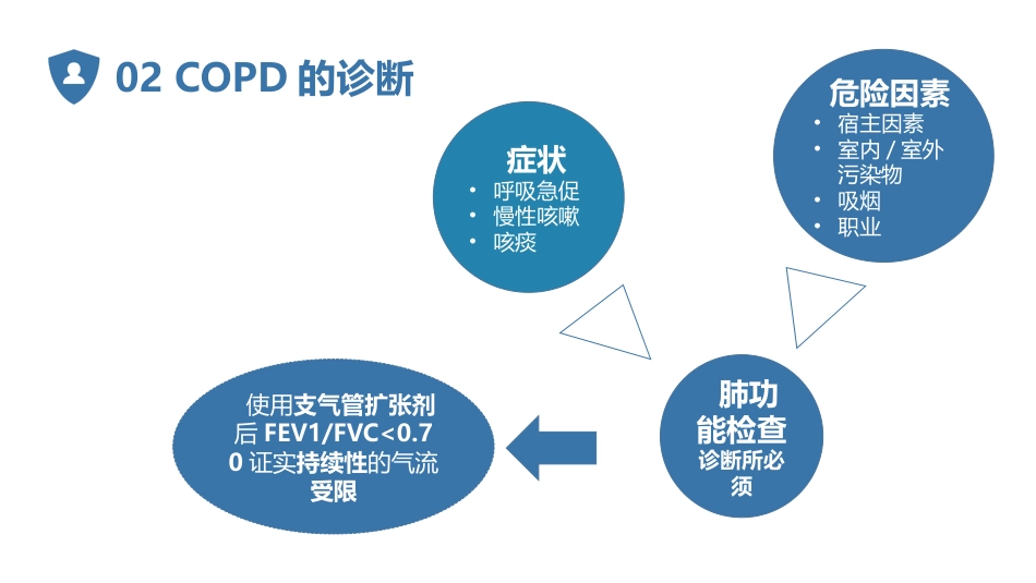 COPD慢性阻塞性肺疾病_第7页