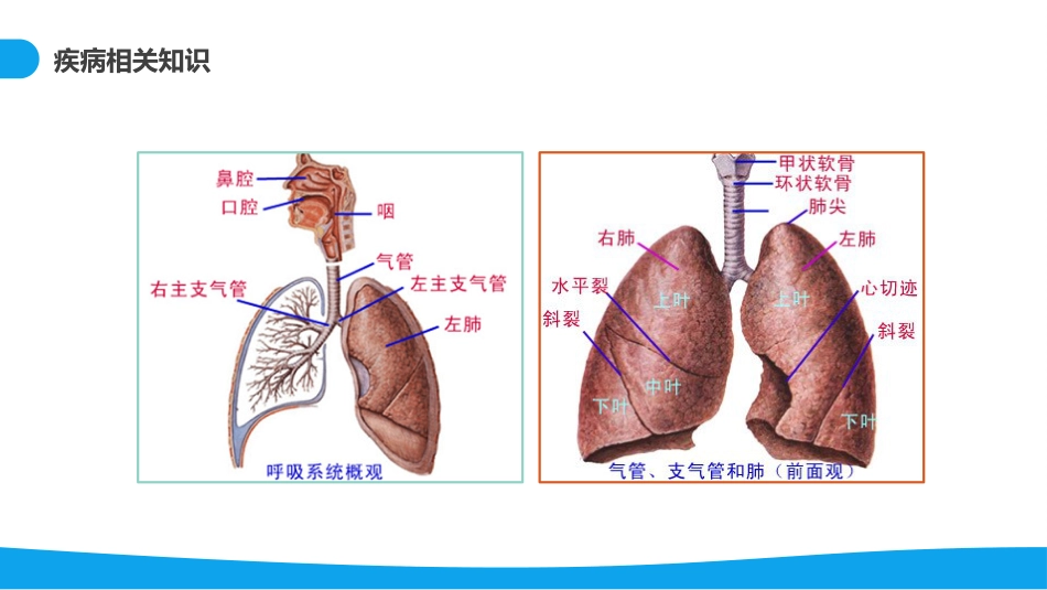 呼吸衰竭病例分析_第8页