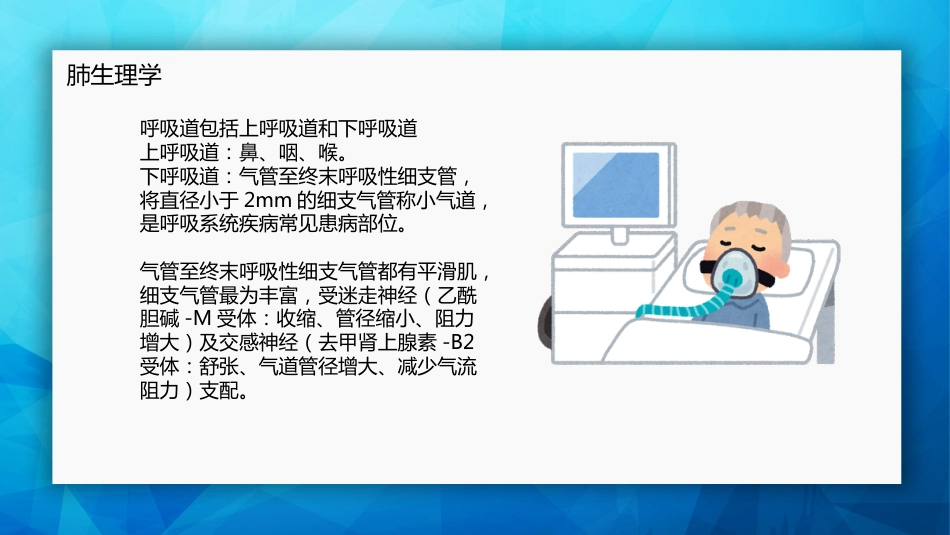 肺癌基本知识_第12页