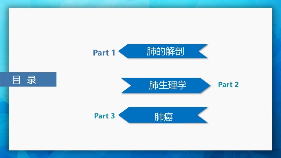 肺癌基本知识_第3页