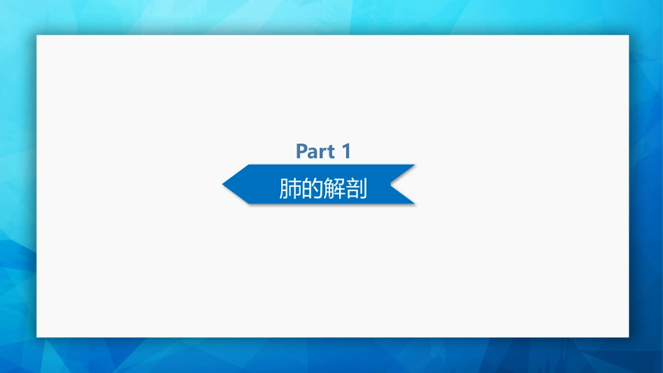肺癌基本知识_第4页