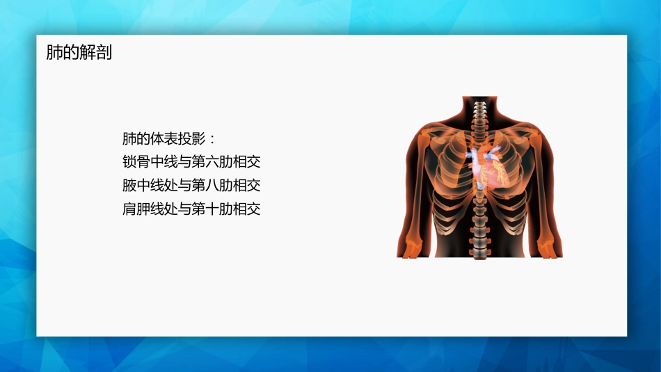 肺癌基本知识_第7页