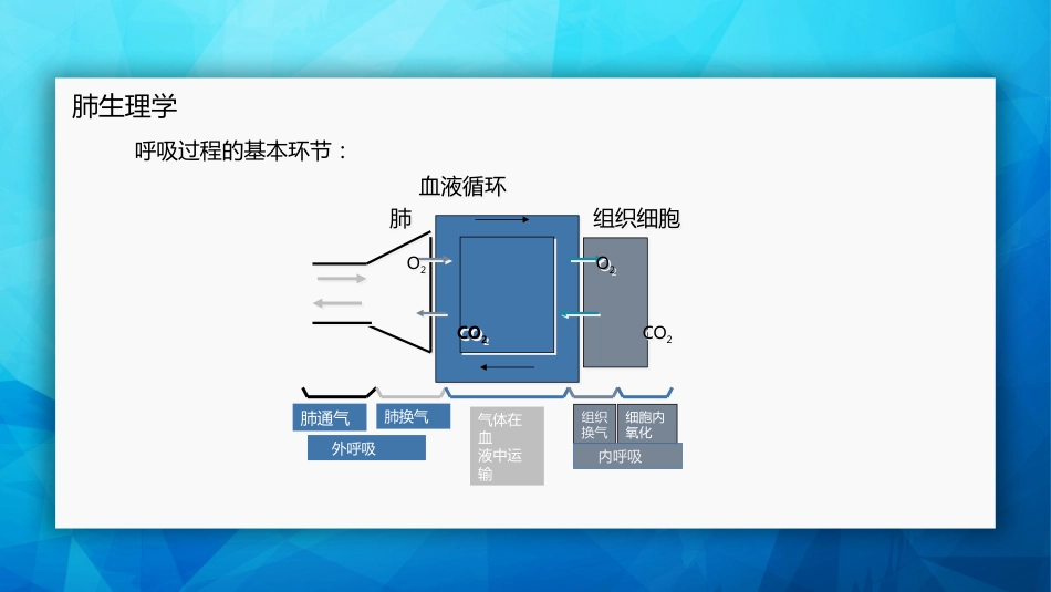 肺癌基本知识_第9页
