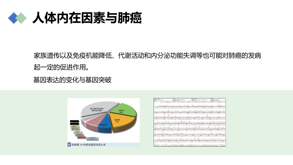 肺癌的早期诊断与防治_第13页