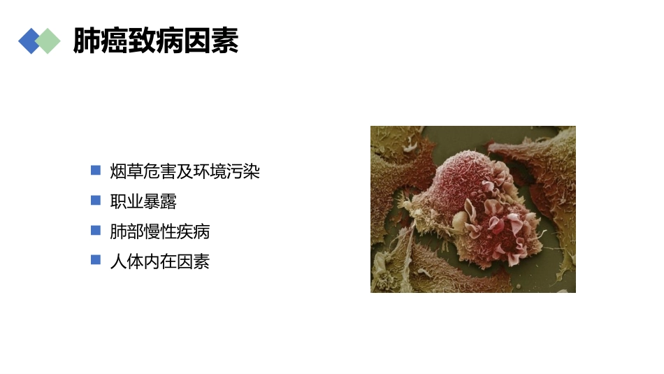 肺癌的早期诊断与防治_第6页