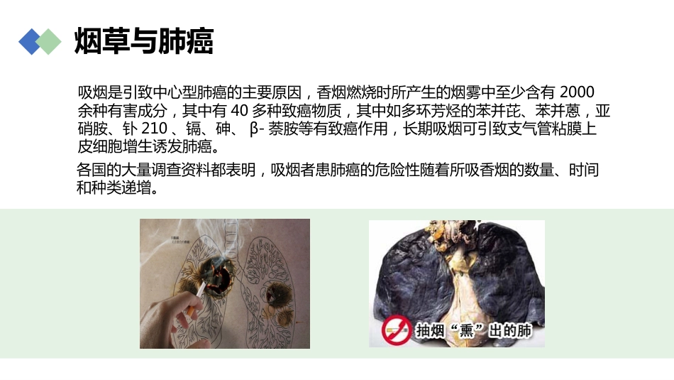 肺癌的早期诊断与防治_第7页