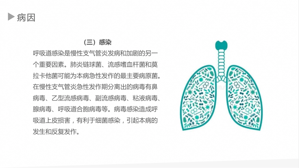 慢性支气管炎1_第12页