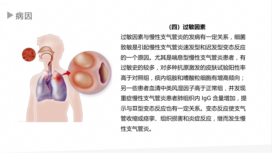 慢性支气管炎1_第13页