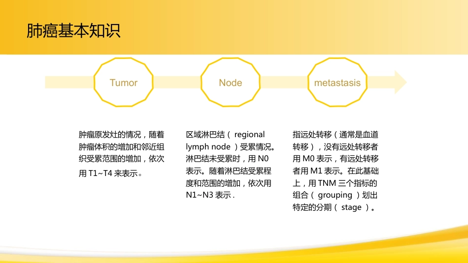 肺癌1_第10页