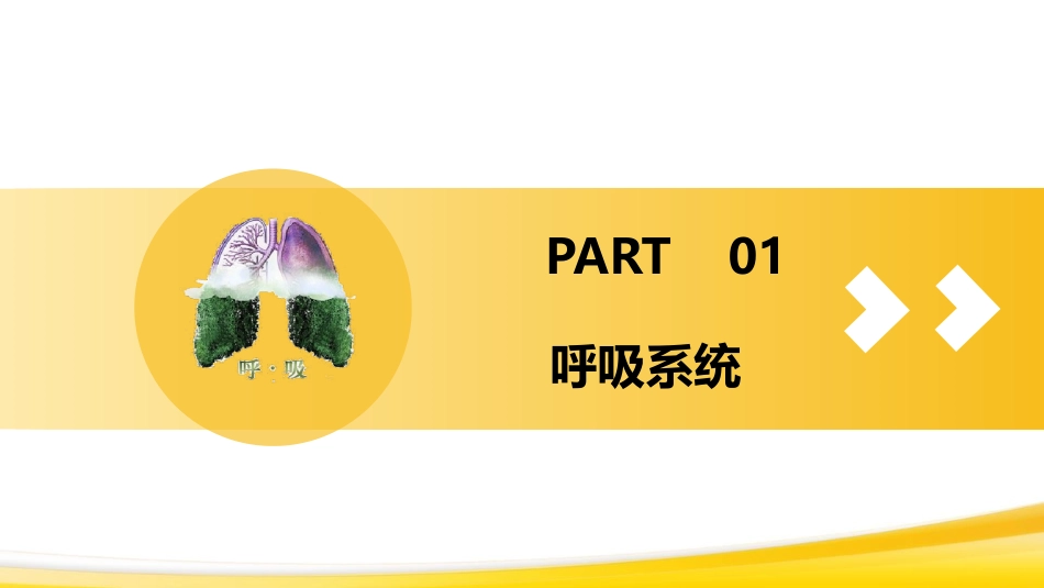 肺癌1_第3页