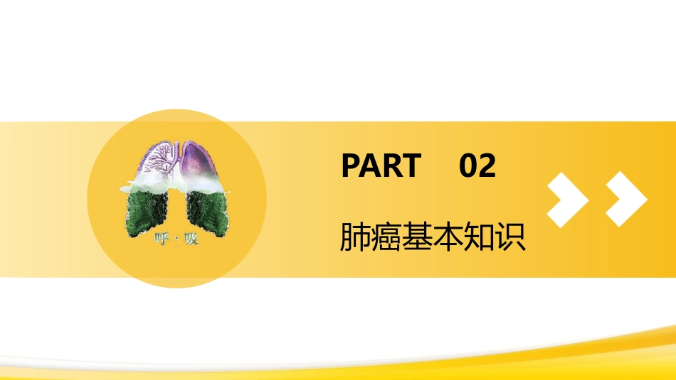 肺癌1_第7页