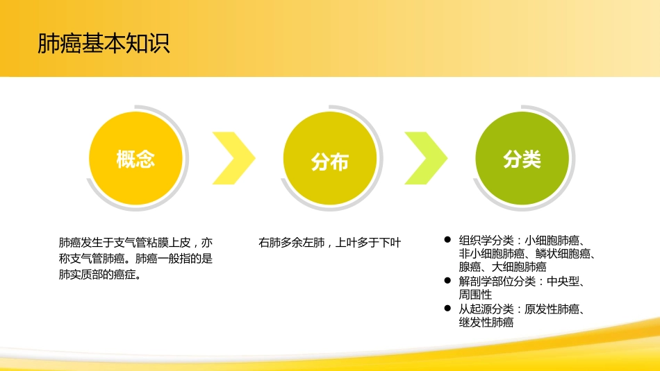 肺癌1_第8页
