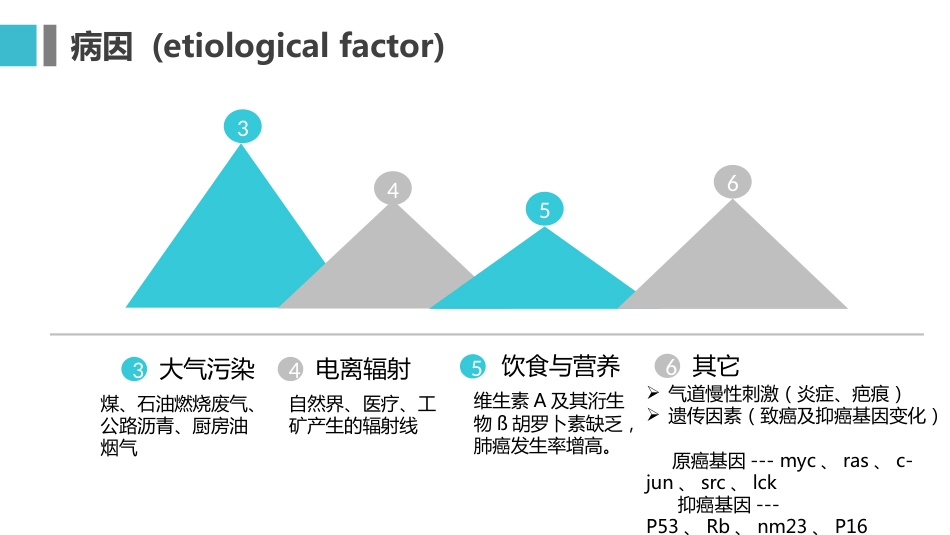 原发性支气管肺癌1_第10页