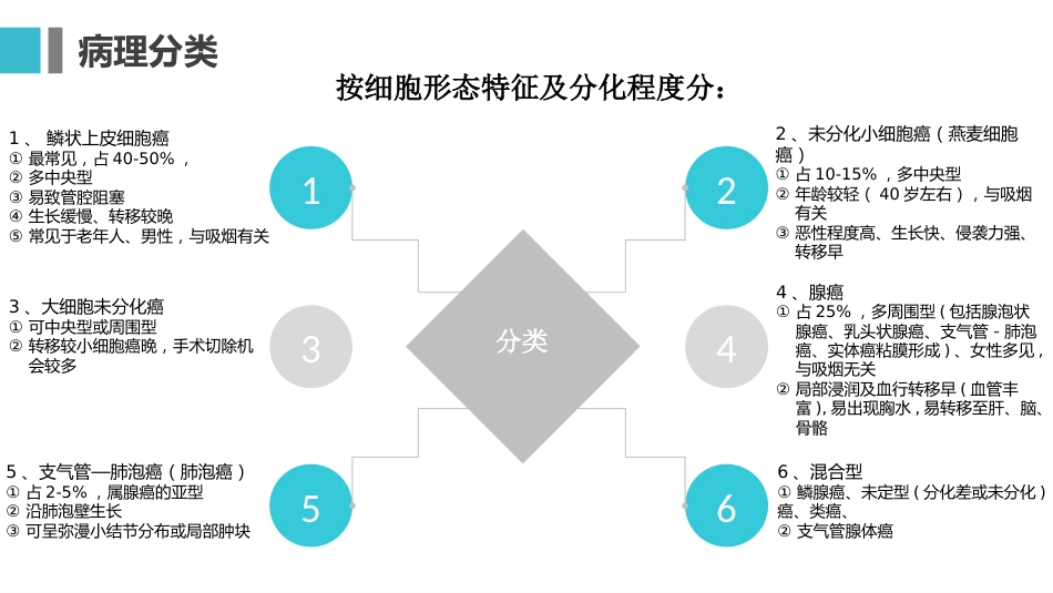 原发性支气管肺癌1_第11页