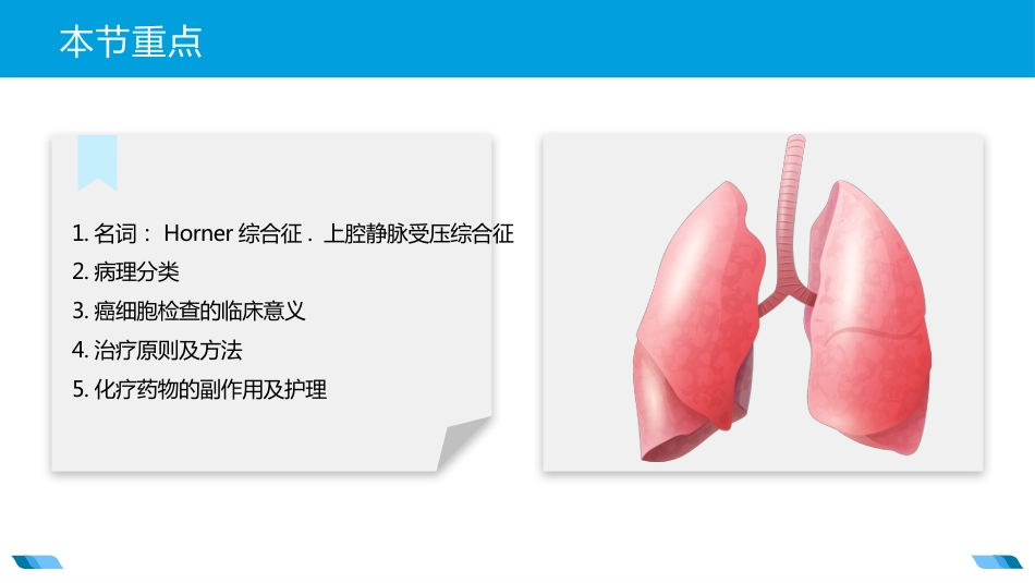 原发性支气管肺癌2_第3页