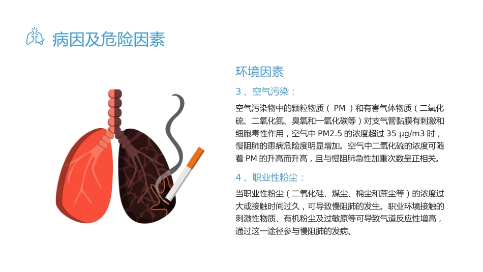 慢性阻塞性肺疾病3_第13页