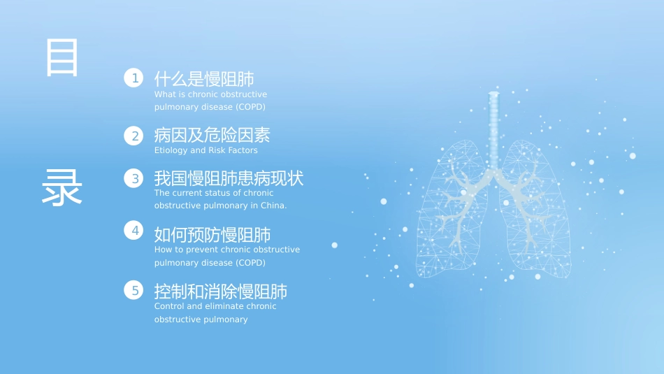 慢性阻塞性肺疾病3_第2页