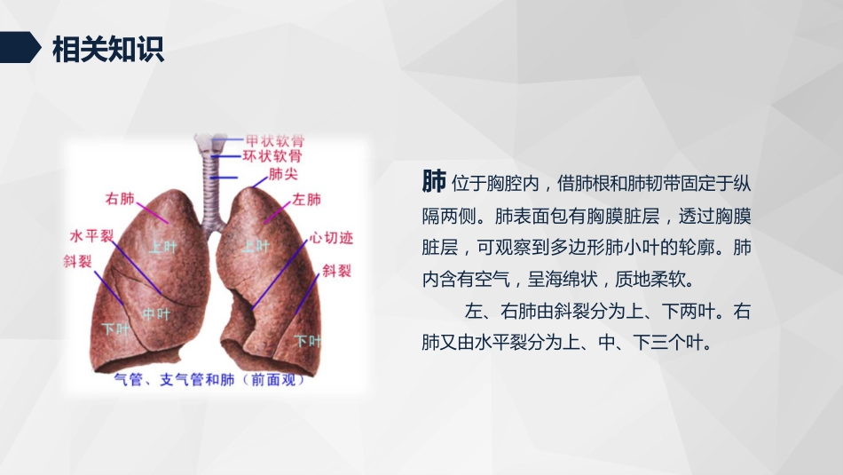 肺癌患者的护理4_第4页
