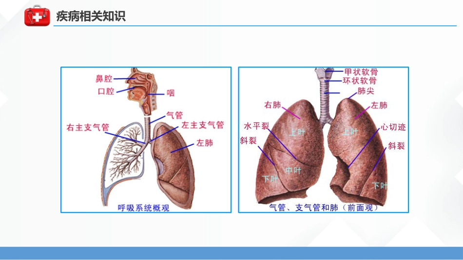 呼吸衰竭病人护理查房5_第9页