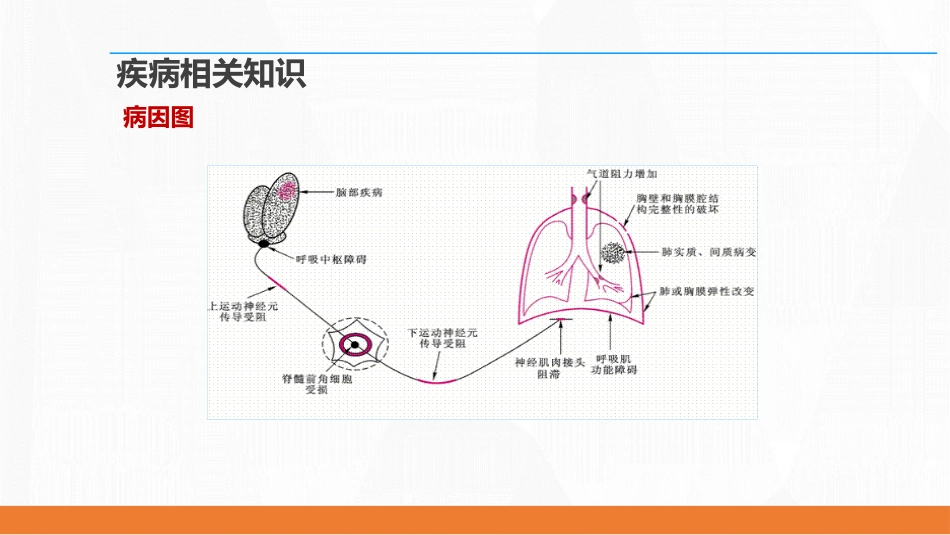 呼吸衰竭病人护理查房8_第11页