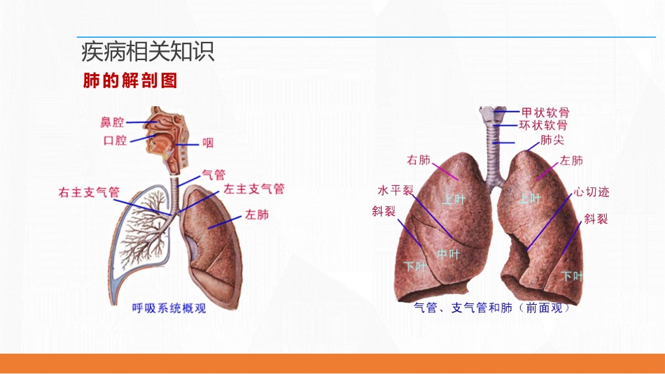 呼吸衰竭病人护理查房8_第8页