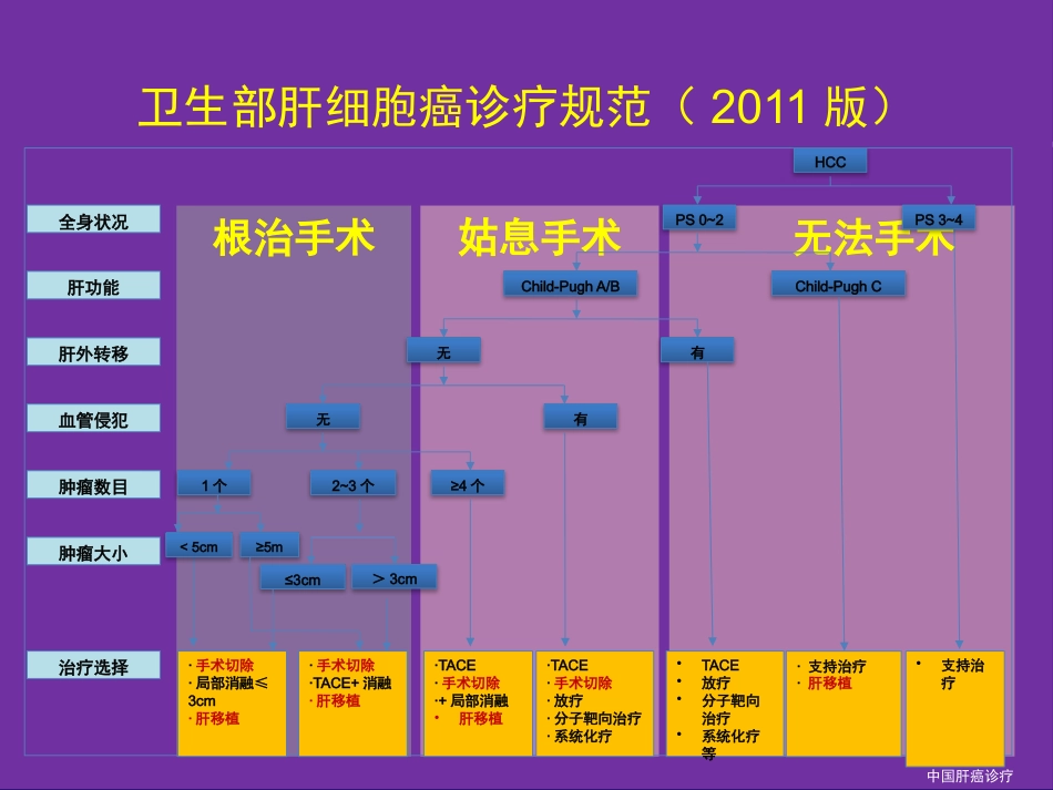 肝癌切除术后复发机制与预防策略_第6页