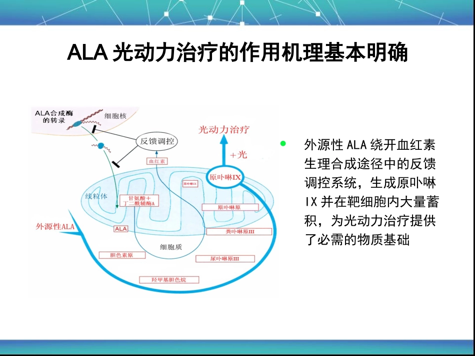 艾拉PDT基本原理与皮肤科的应用_第6页