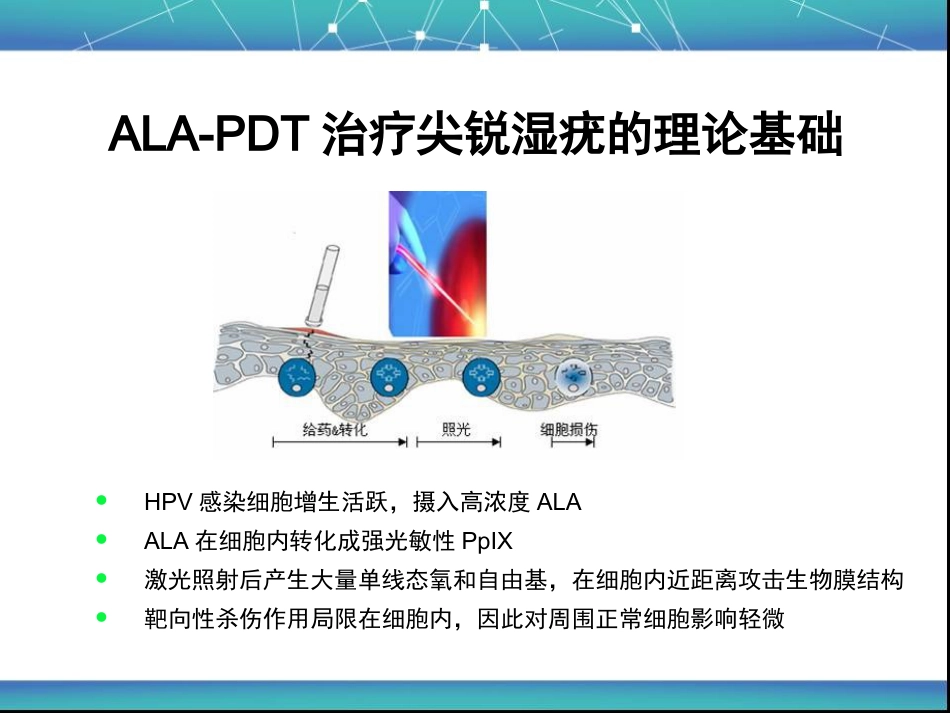 艾拉PDT基本原理与皮肤科的应用_第8页
