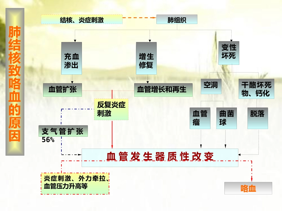 肺结核咯血的介入治疗 PPT_第3页