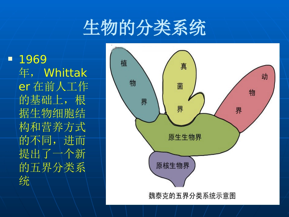 病毒性皮肤病和真菌性皮肤病_第2页