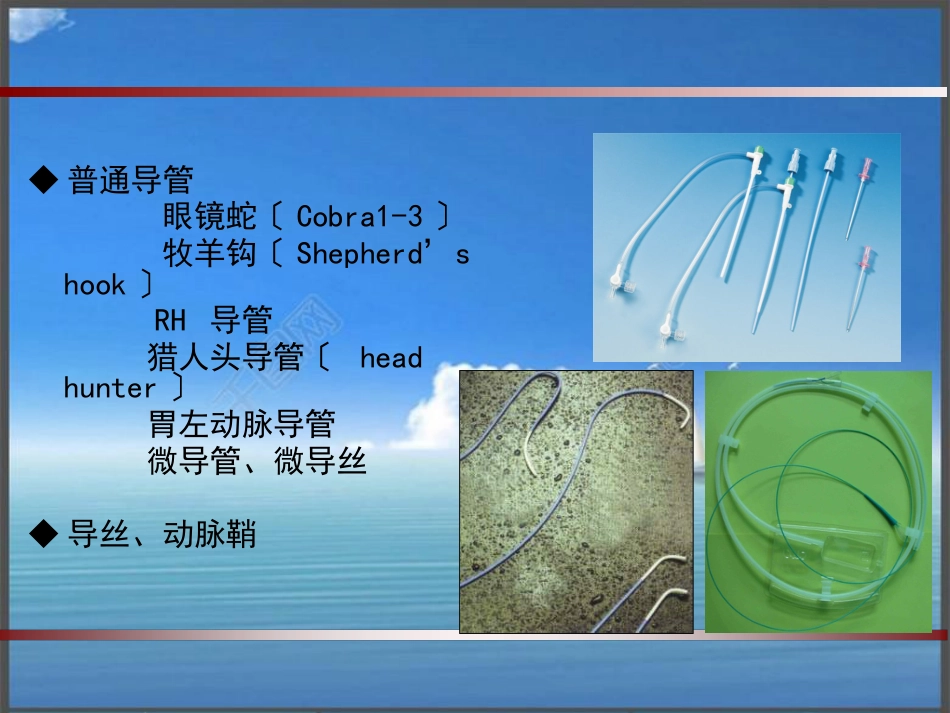 大咯血的介入治疗_第13页