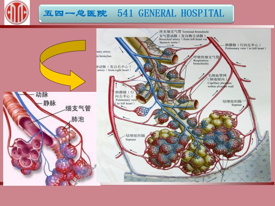 大咯血的介入治疗_第6页