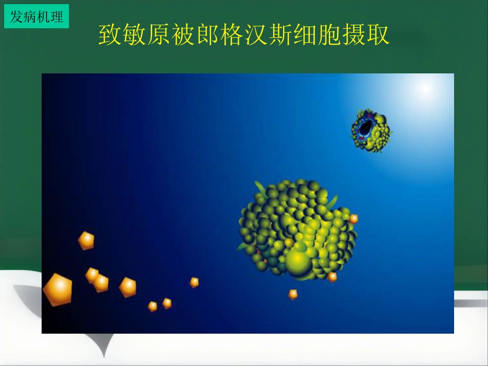 变态反应皮肤病ppt课件_第10页