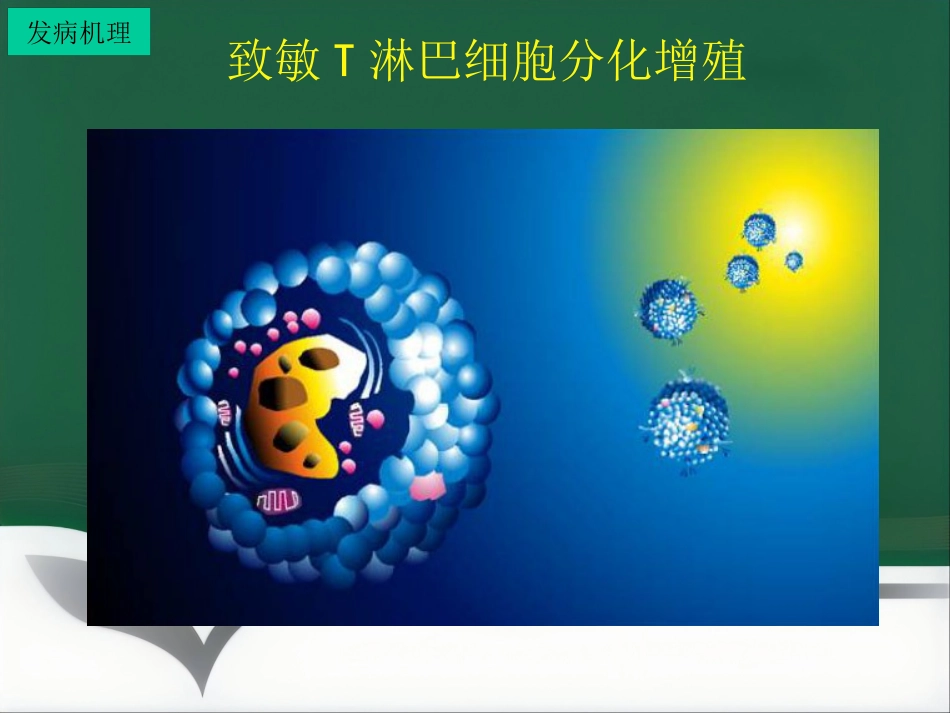 变态反应皮肤病ppt课件_第11页