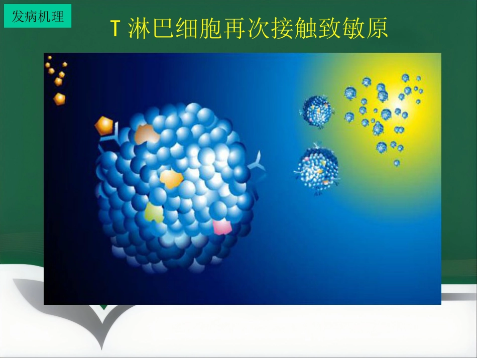 变态反应皮肤病ppt课件_第12页