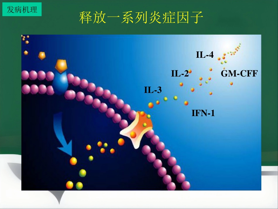 变态反应皮肤病ppt课件_第13页