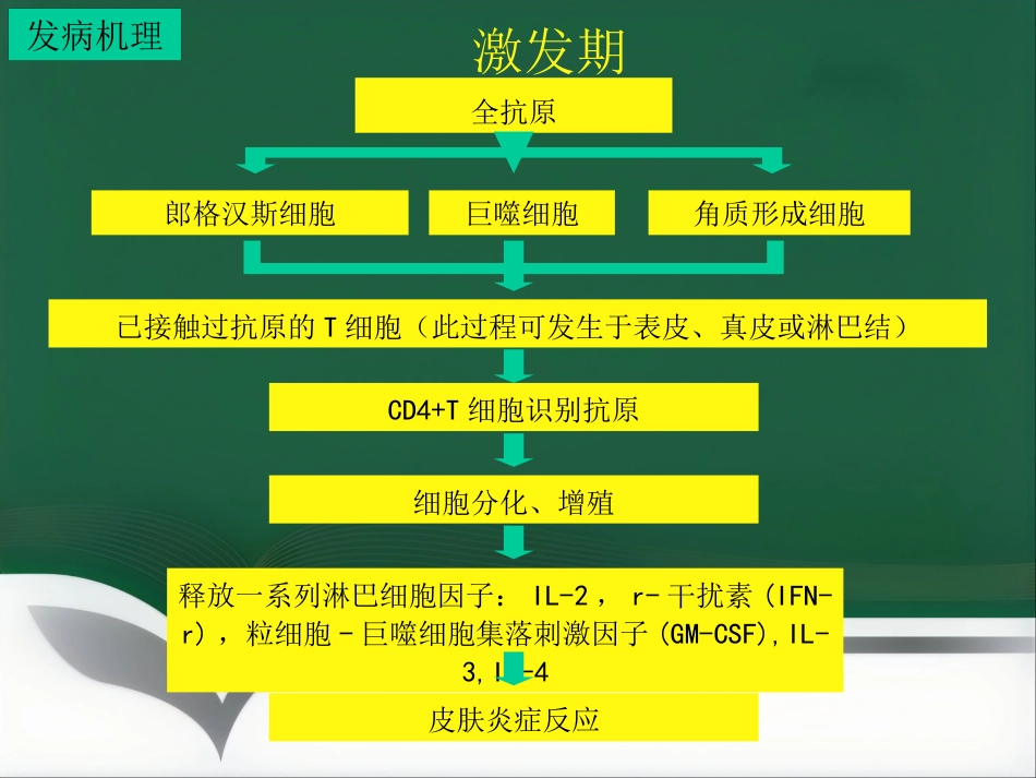 变态反应皮肤病ppt课件_第8页