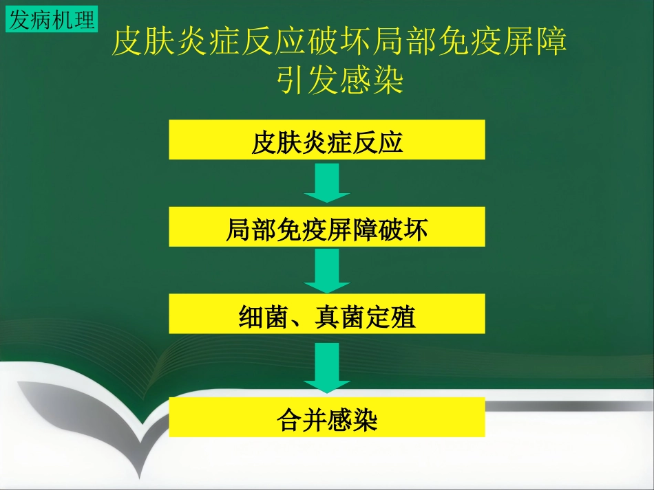 变态反应皮肤病ppt课件_第9页