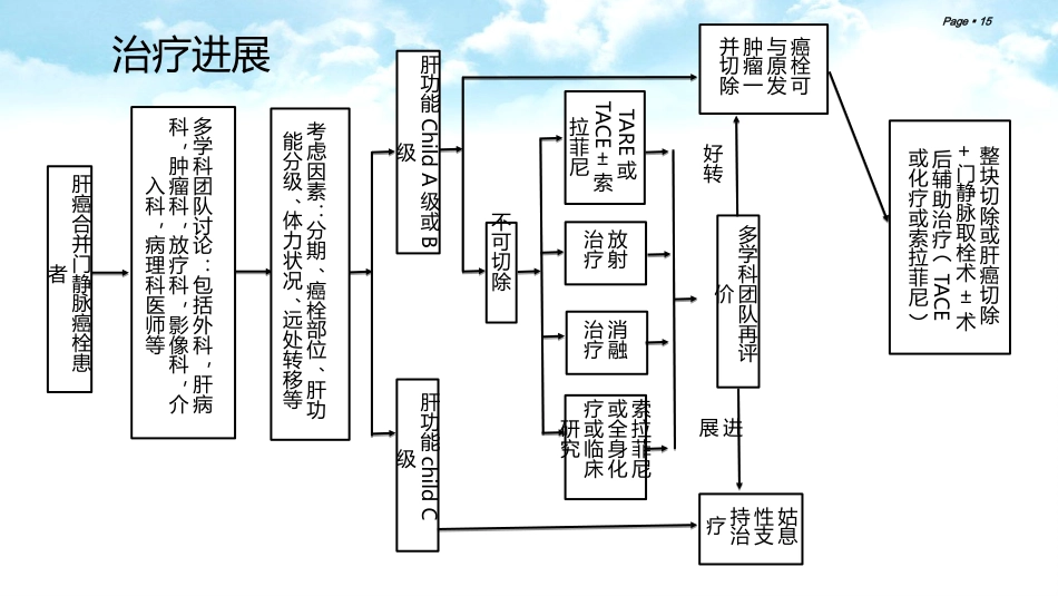 肝癌合并门静脉癌栓的综合治疗_第15页
