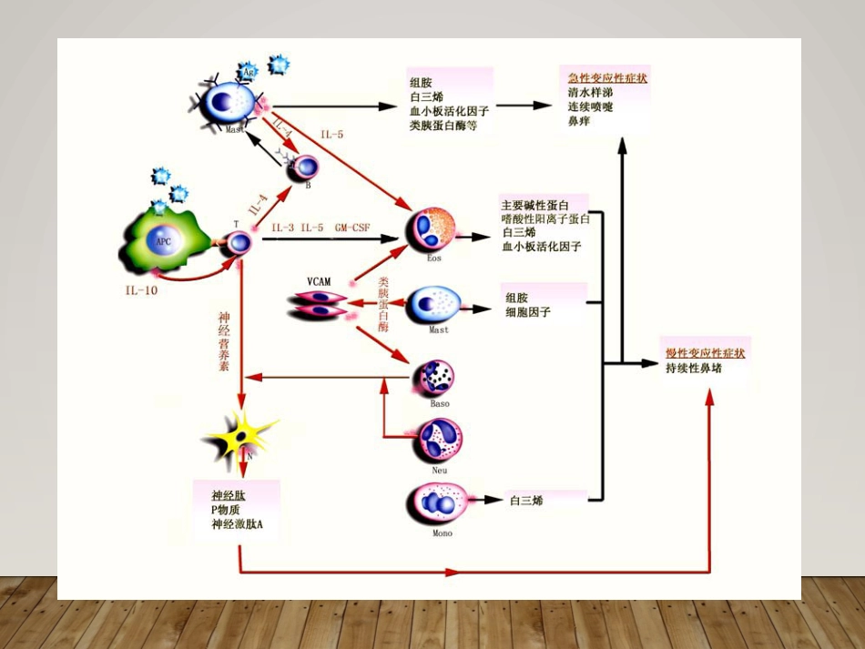 变应性鼻炎过过敏性鼻炎中西医诊治ppt_第11页