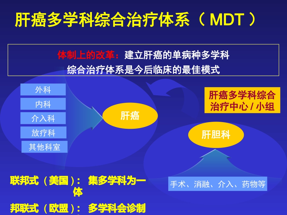 肝癌MDT解读_第10页