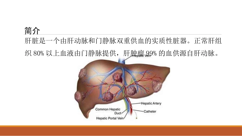 肝癌微创治疗 肝动脉化疗栓塞术(tace)_第4页
